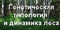 Сайт Н.С. Ивановой - Генетическая типология и динамика
леса width=